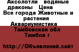 Аксолотли / водяные драконы › Цена ­ 500 - Все города Животные и растения » Аквариумистика   . Тамбовская обл.,Тамбов г.